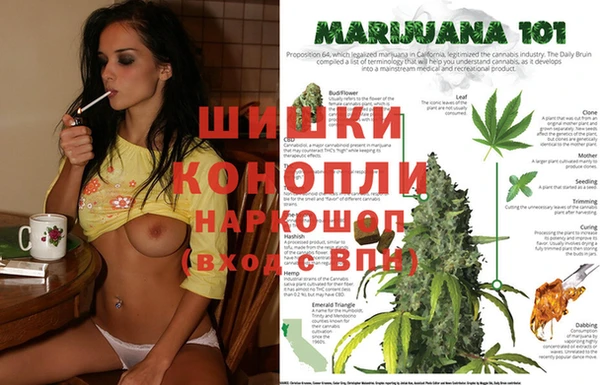 гидропоника Пестово