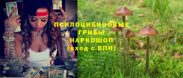меф Алексин