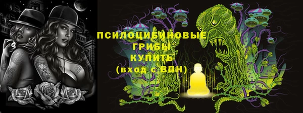 дмт Алексеевка