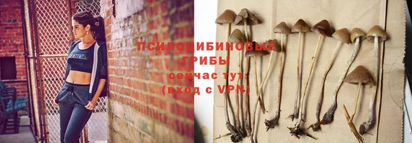 дмт Алексеевка